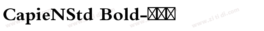 CapieNStd Bold字体转换